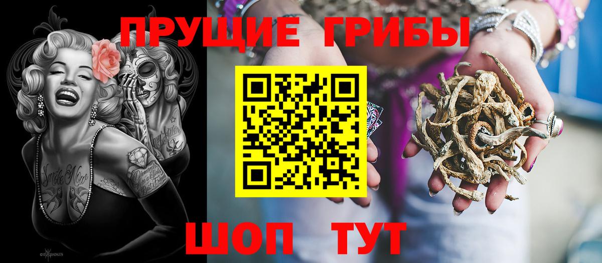 Галлюциногенные грибы GOLDEN TEACHER  хочу наркоту  Янаул  Вход с VPN 